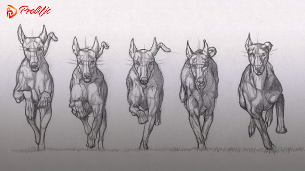 Tweening-in-Animation