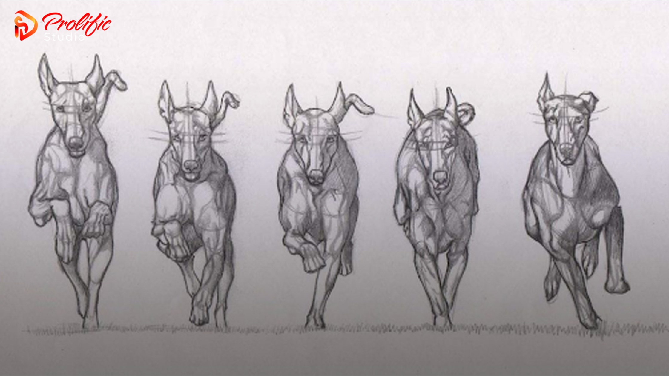 Tweening-in-Animation