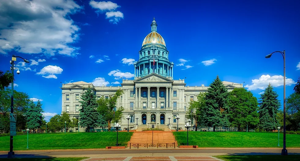 The Best Animation Studio in Denver ​