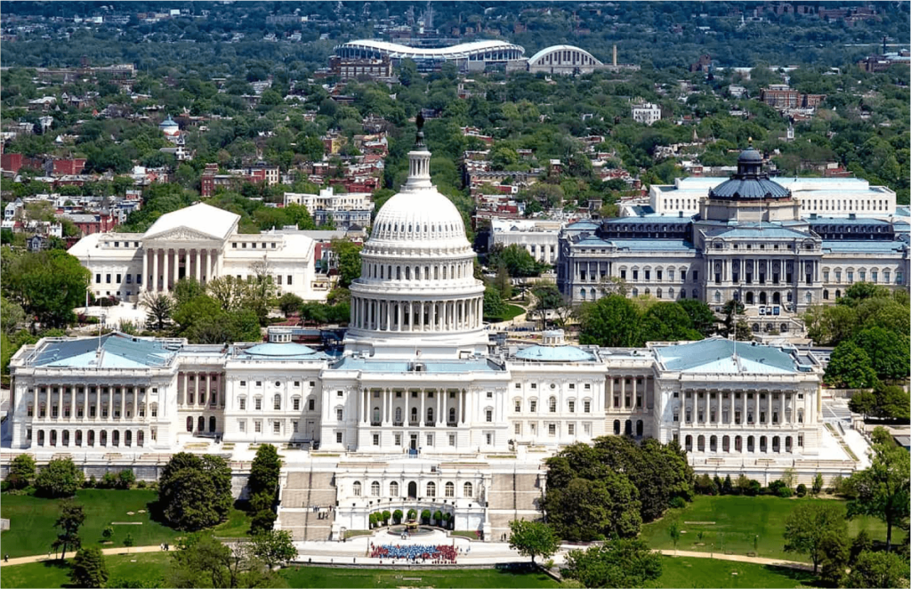 Animation Services in Washington D.C.
