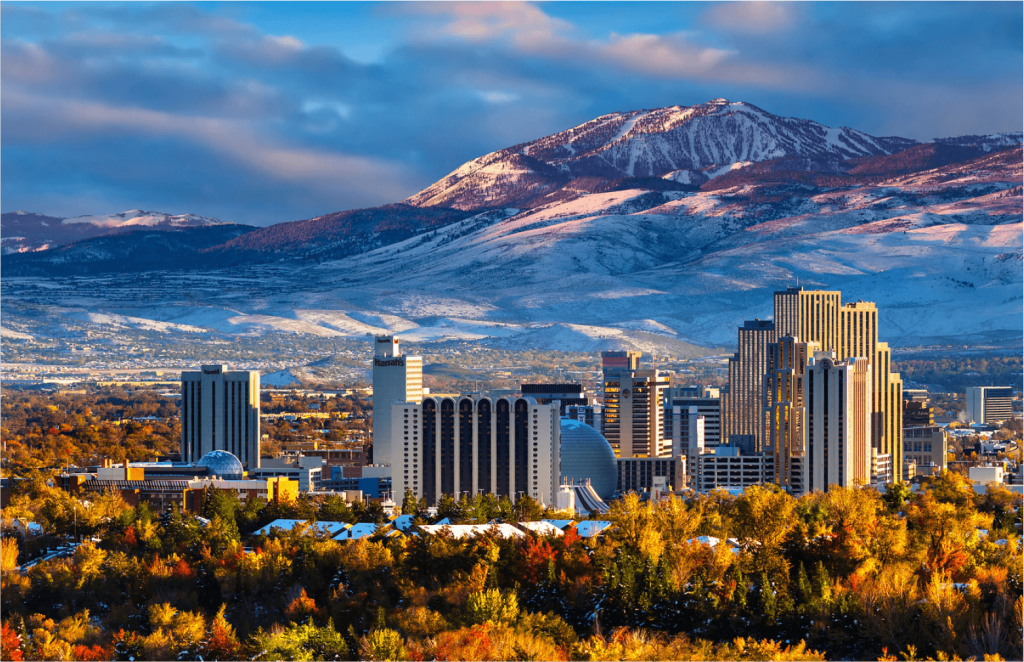 Innovative Animation Studio in Reno​