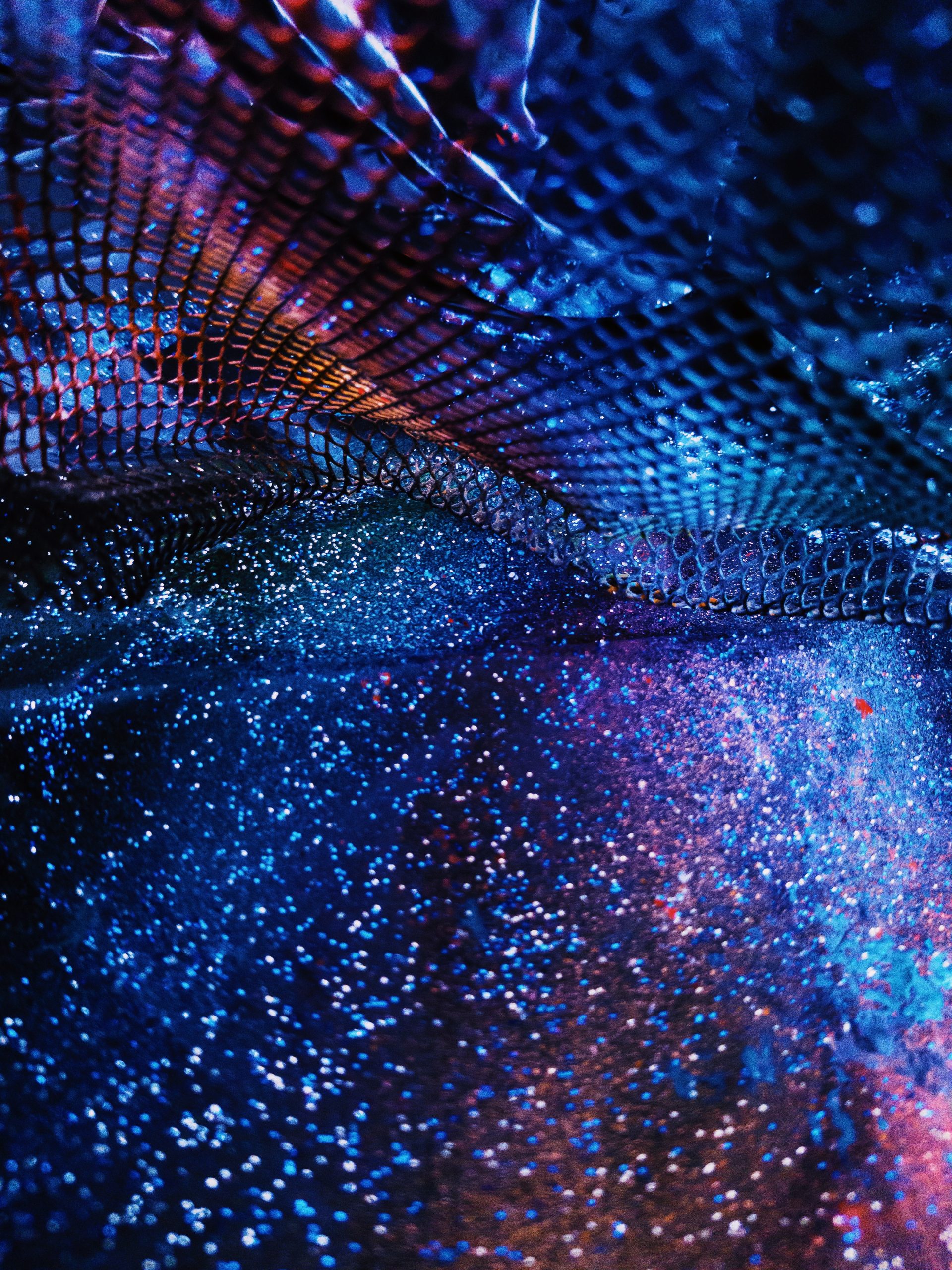 animation