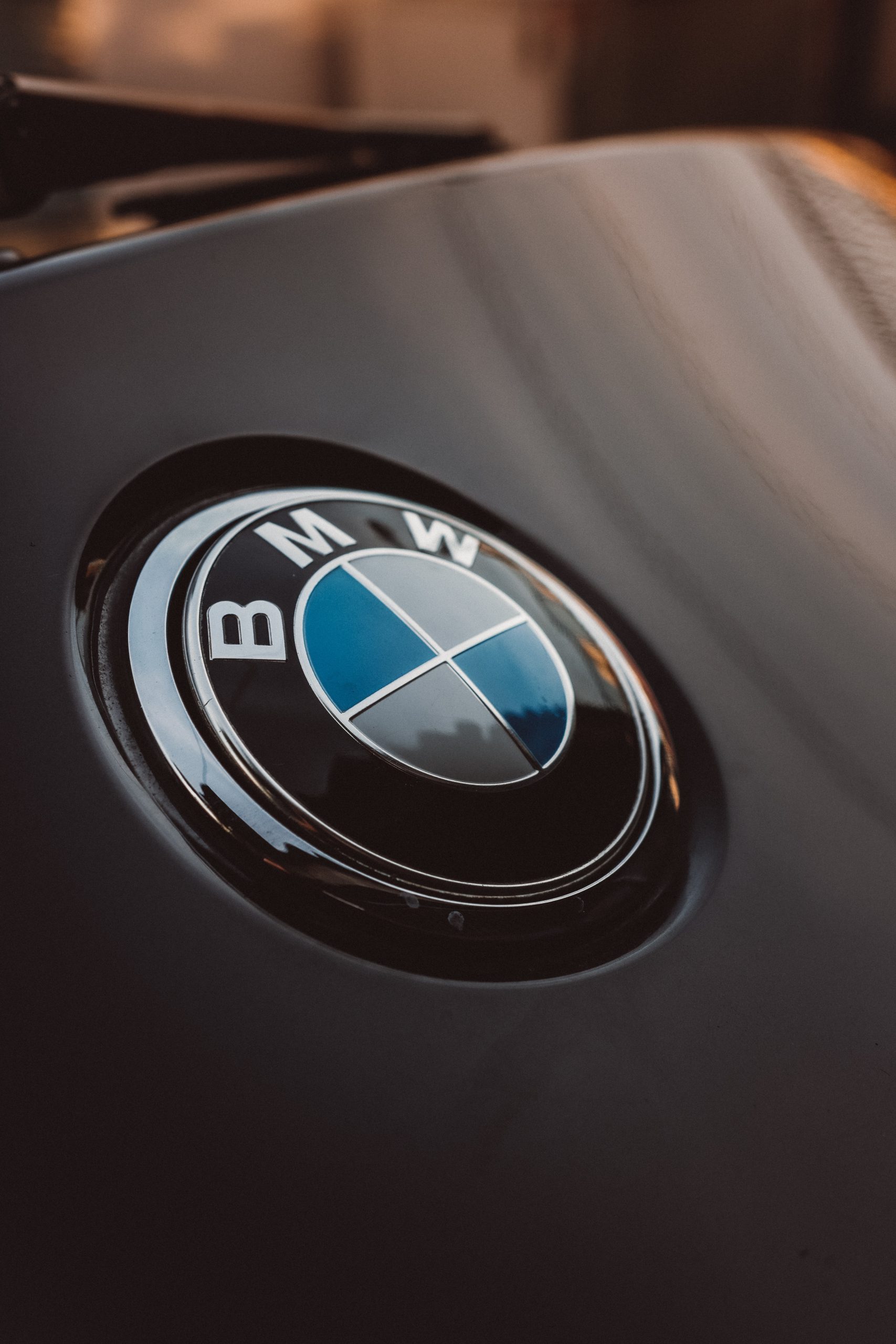 Logo Animation